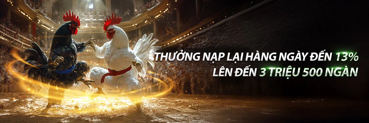 Đá Gà Trực Tuyến KB69 Hấp Dẫn