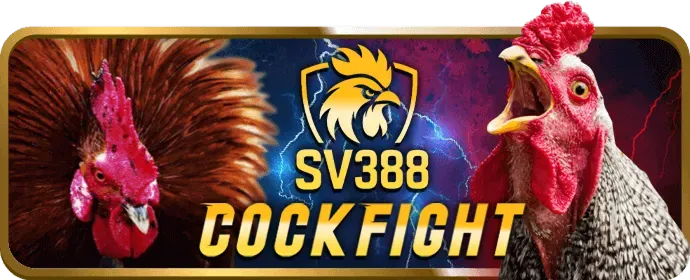 Chương trình VIP kb69